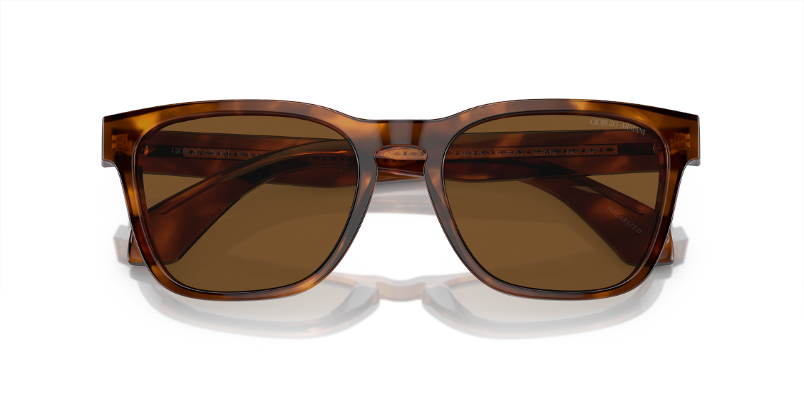 Солнцезащитные очки Giorgio Armani AR8155 598857