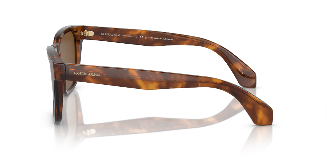 Солнцезащитные очки Giorgio Armani AR8155 598857