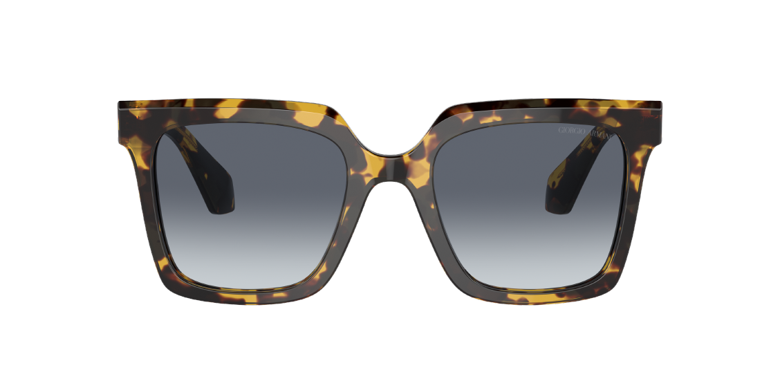 Солнцезащитные очки Giorgio Armani AR8156 587486