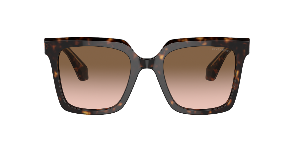 Солнцезащитные очки Giorgio Armani AR8156 587951