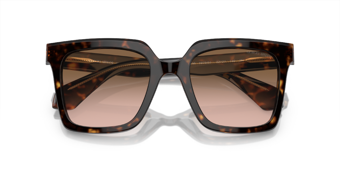 Солнцезащитные очки Giorgio Armani AR8156 587951