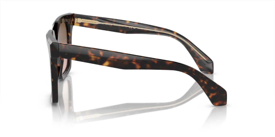 Солнцезащитные очки Giorgio Armani AR8156 587951