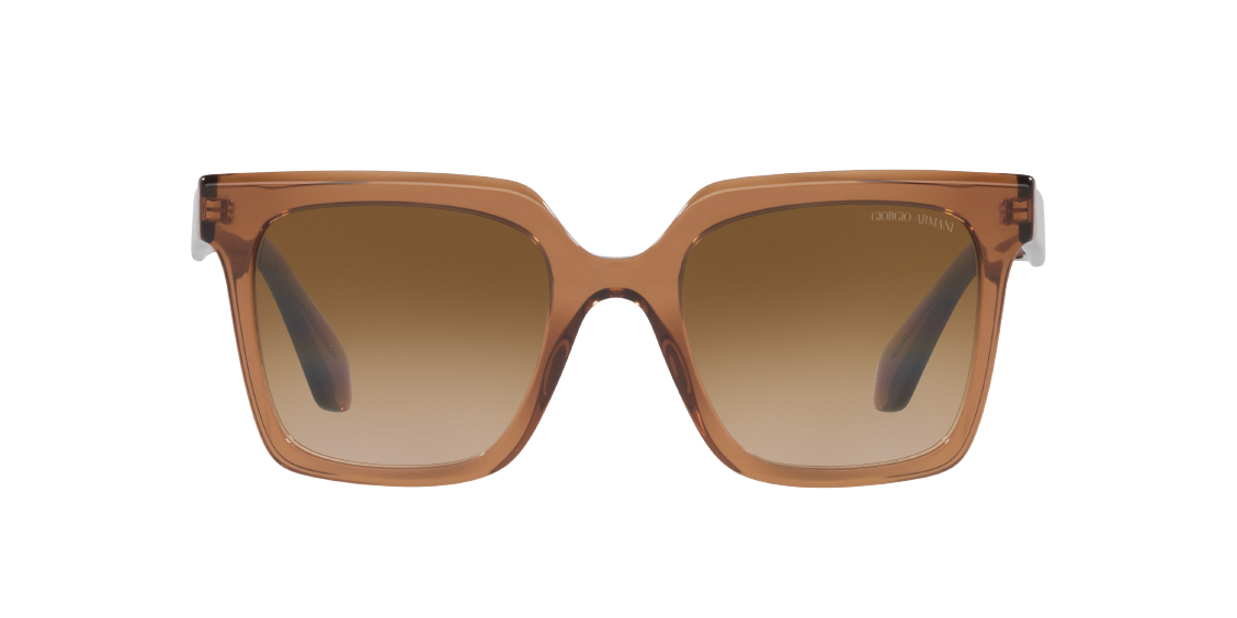 Солнцезащитные очки Giorgio Armani AR8156 593251