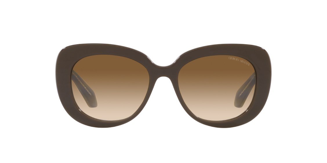 Солнцезащитные очки Giorgio Armani AR8168 595751