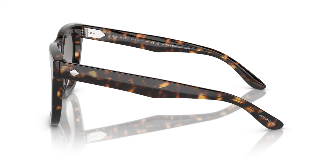 Солнцезащитные очки Giorgio Armani AR8171 587932