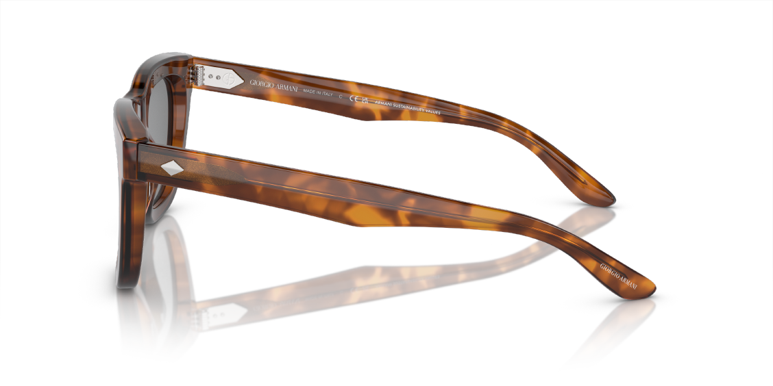 Солнцезащитные очки Giorgio Armani AR8171 598802