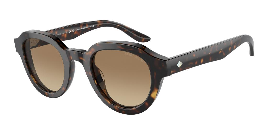 Солнцезащитные очки Giorgio Armani AR8172U 5879Q4