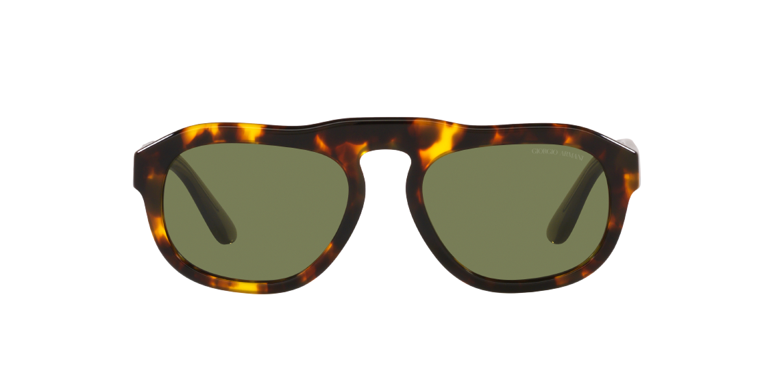 Солнцезащитные очки Giorgio Armani AR8173 50922A