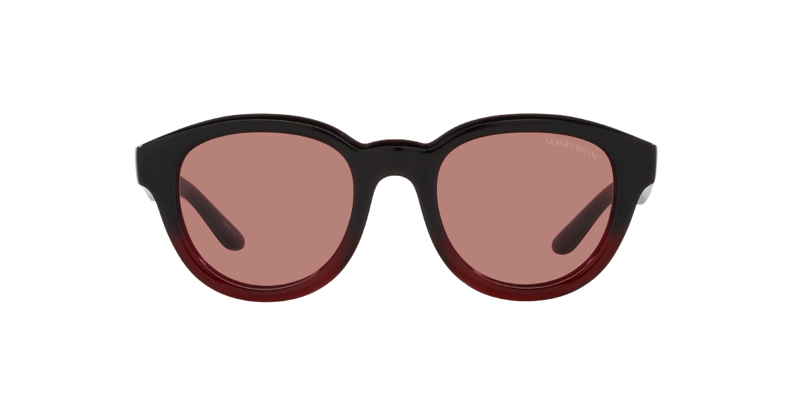 Солнцезащитные очки Giorgio Armani AR8181 599730