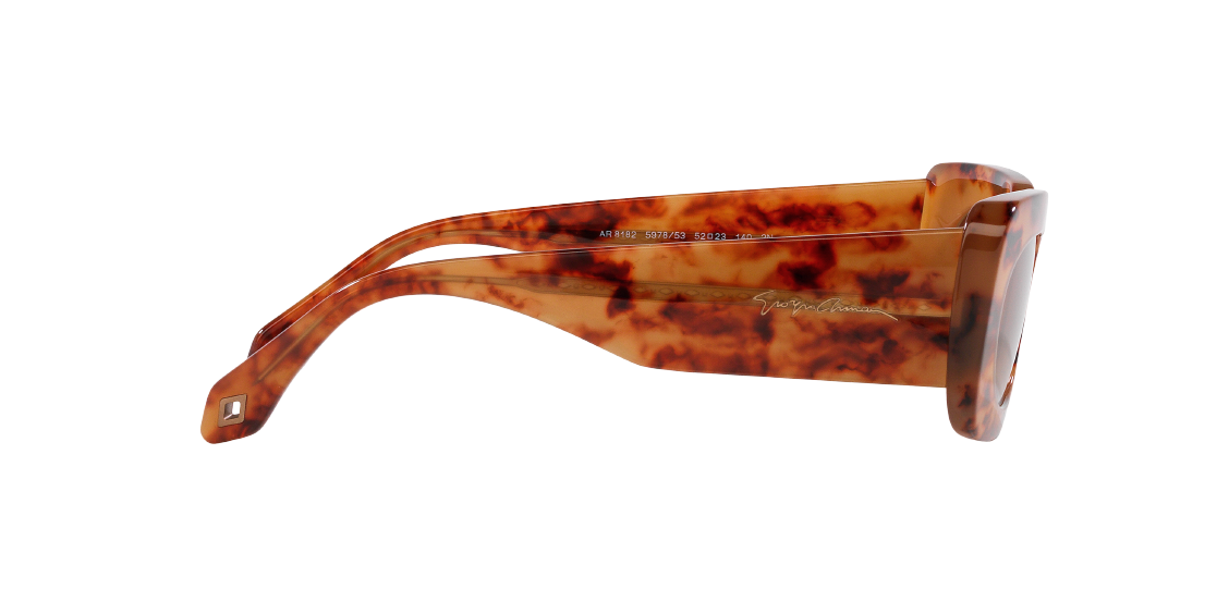 Солнцезащитные очки Giorgio Armani AR8182 597853