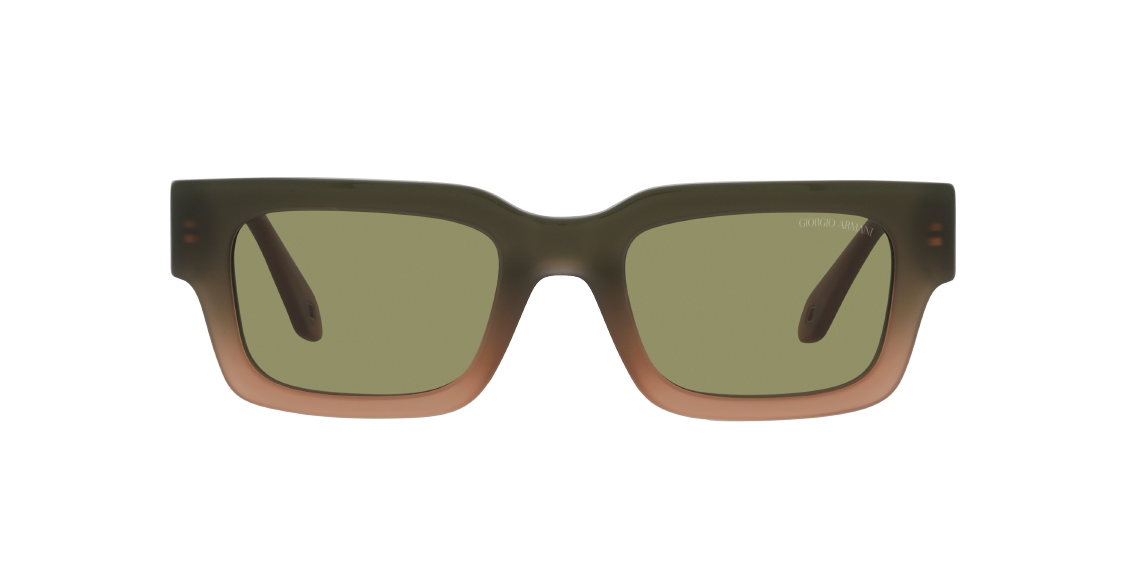 Солнцезащитные очки Giorgio Armani AR8184U 598214