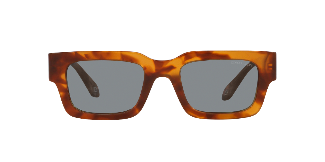 Солнцезащитные очки Giorgio Armani AR8184U 598802