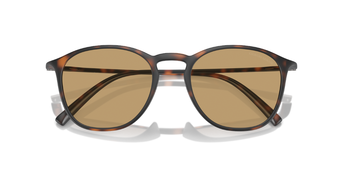 Солнцезащитные очки Giorgio Armani AR8186U 508973