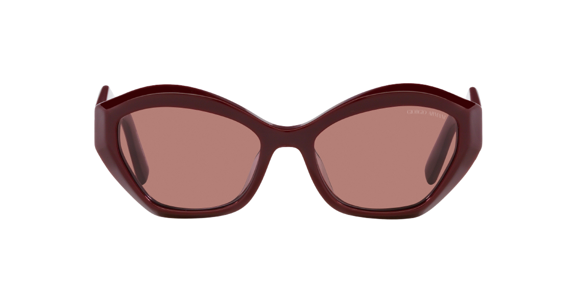 Солнцезащитные очки Giorgio Armani AR8187U 599430