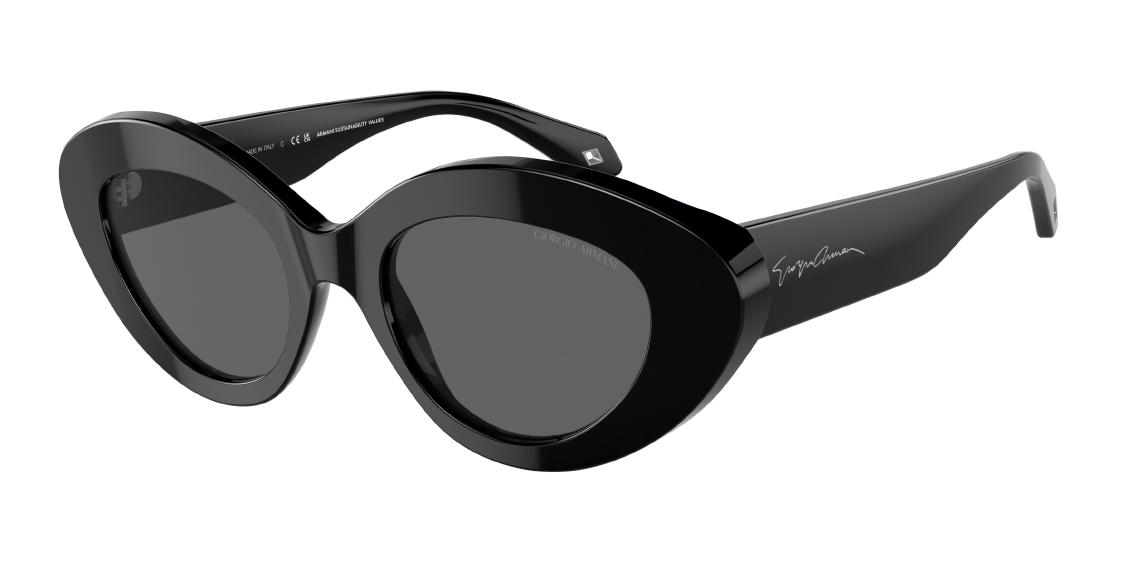 Солнцезащитные очки Giorgio Armani AR8188 5875B1