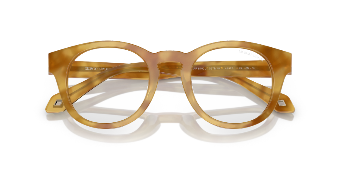 Солнцезащитные очки Giorgio Armani AR8190U 59791W