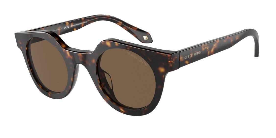 Солнцезащитные очки Giorgio Armani AR8191U 587973