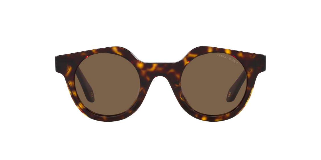 Солнцезащитные очки Giorgio Armani AR8191U 587973