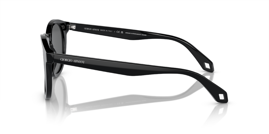 Солнцезащитные очки Giorgio Armani AR8192 5875B1