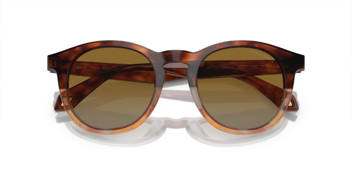 Солнцезащитные очки Giorgio Armani AR8192 6034B2