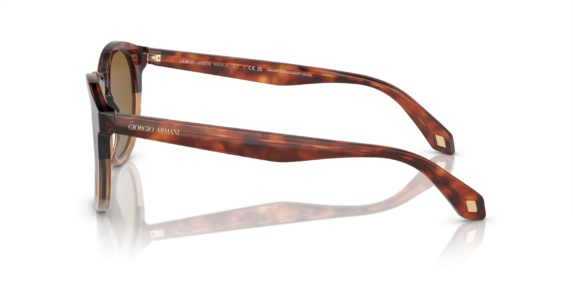 Солнцезащитные очки Giorgio Armani AR8192 6034B2