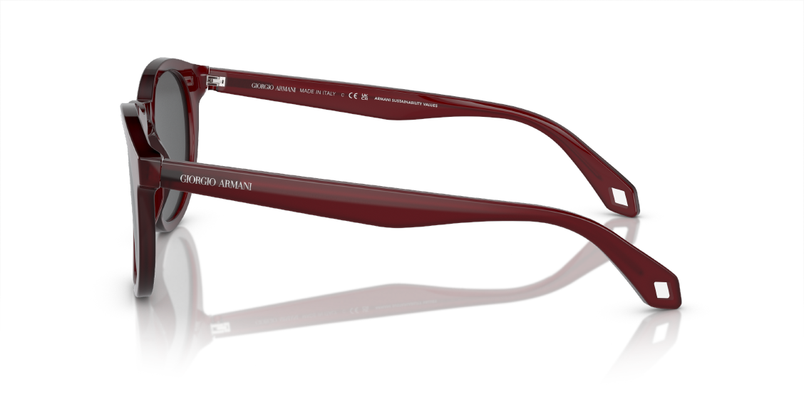 Солнцезащитные очки Giorgio Armani AR8192 6045B1