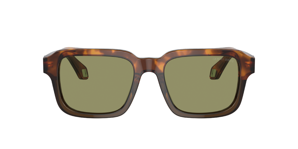 Солнцезащитные очки Giorgio Armani AR8194U 598814