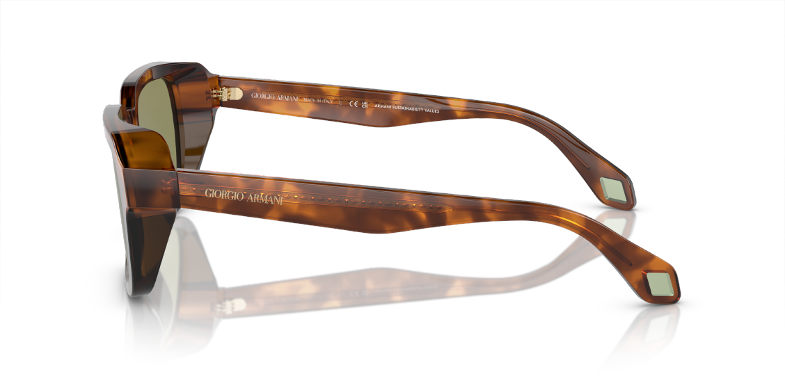 Солнцезащитные очки Giorgio Armani AR8194U 598814