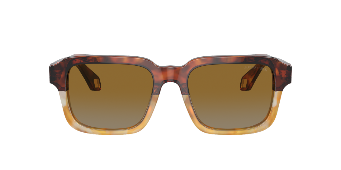 Солнцезащитные очки Giorgio Armani AR8194U 6034B2