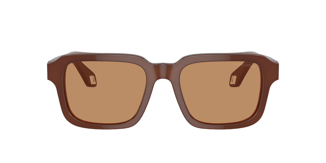 Солнцезащитные очки Giorgio Armani AR8194U 604253