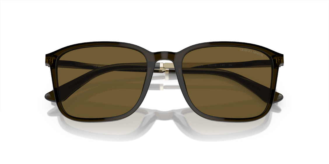 Солнцезащитные очки Giorgio Armani AR8197 503073