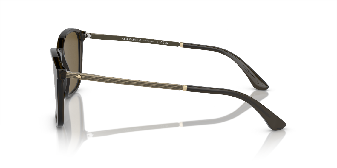 Солнцезащитные очки Giorgio Armani AR8197 503073