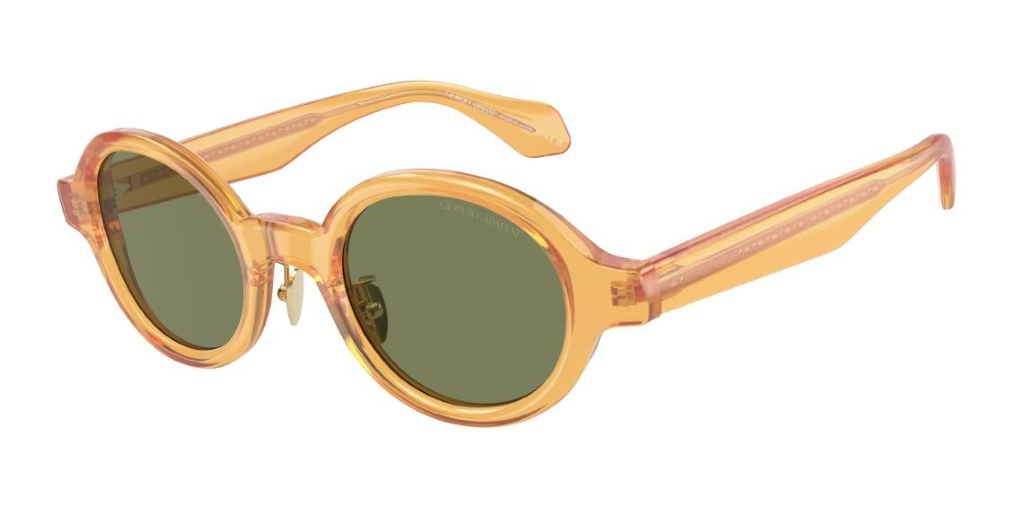 Солнцезащитные очки Giorgio Armani AR8205 60632A