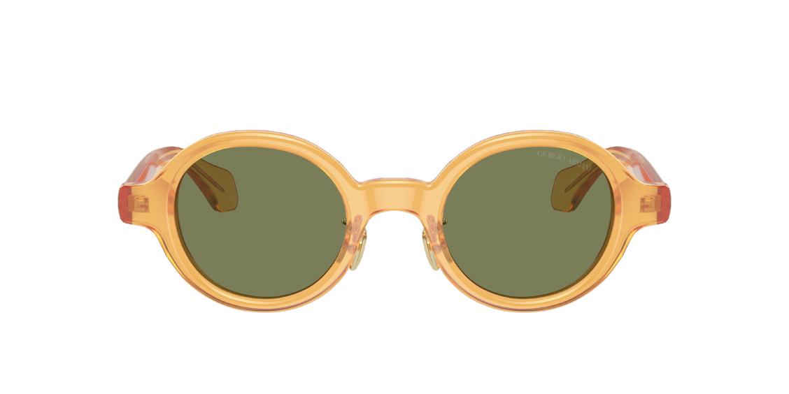 Солнцезащитные очки Giorgio Armani AR8205 60632A
