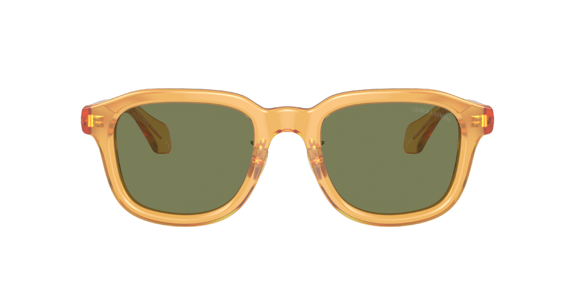 Солнцезащитные очки Giorgio Armani AR8206 60632A