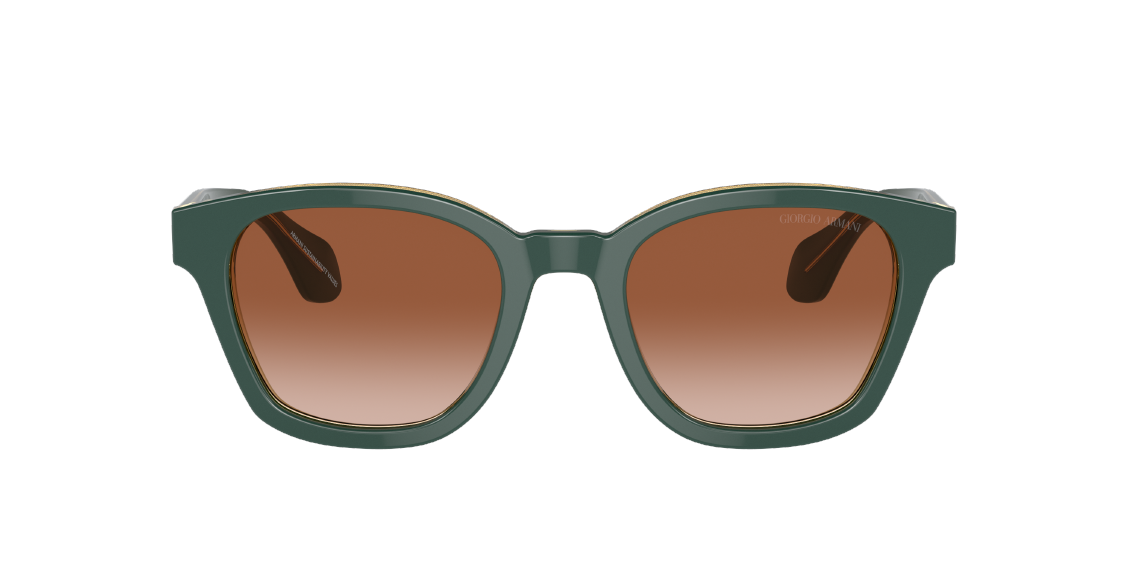 Солнцезащитные очки Giorgio Armani AR8207 608613