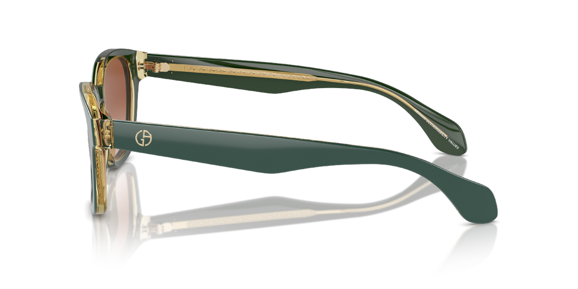 Солнцезащитные очки Giorgio Armani AR8207 608613