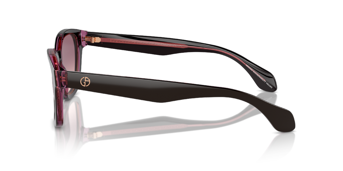 Солнцезащитные очки Giorgio Armani AR8207 60888D