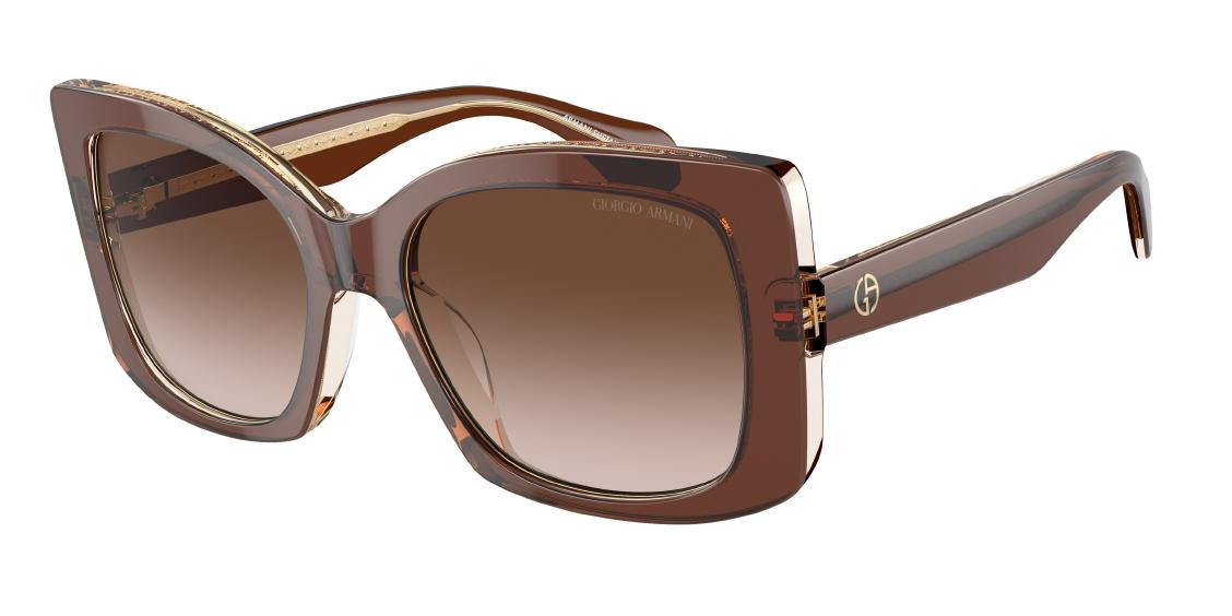 Солнцезащитные очки Giorgio Armani AR8208U 609013
