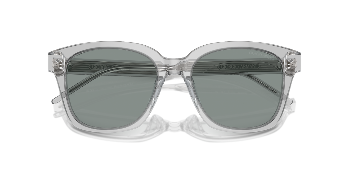 Солнцезащитные очки Giorgio Armani AR8210U 608056