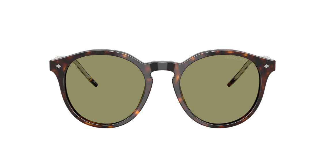 Солнцезащитные очки Giorgio Armani AR8211 587914