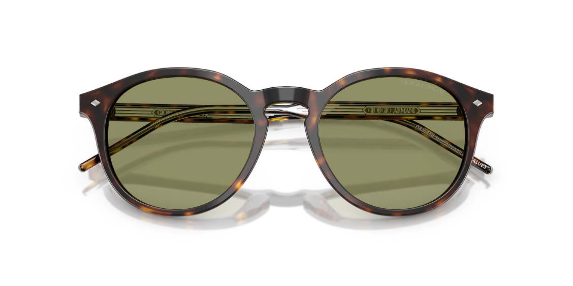 Солнцезащитные очки Giorgio Armani AR8211 587914