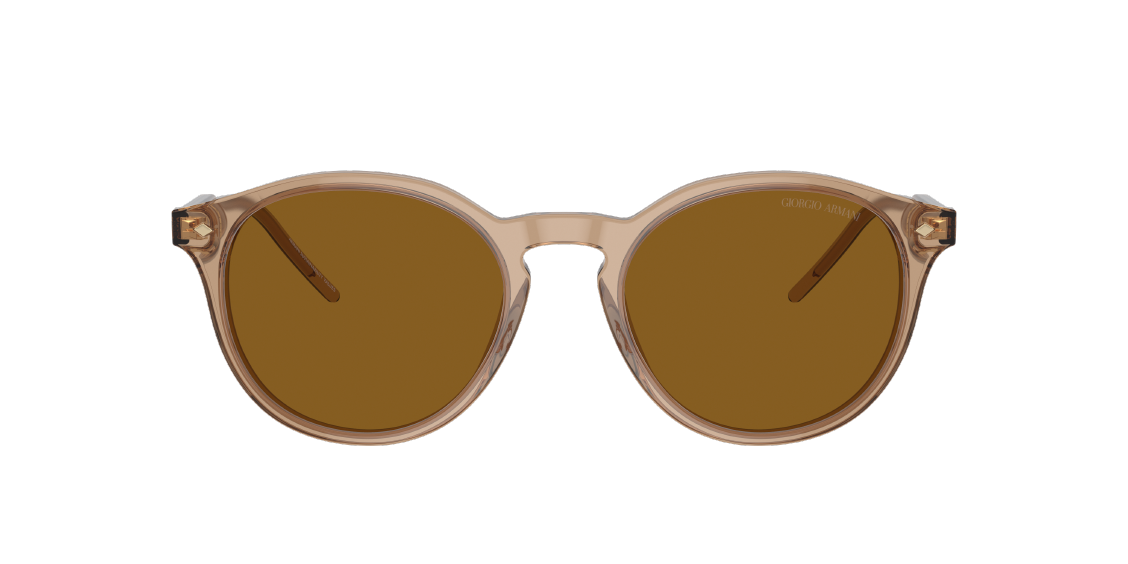 Солнцезащитные очки Giorgio Armani AR8211 607233