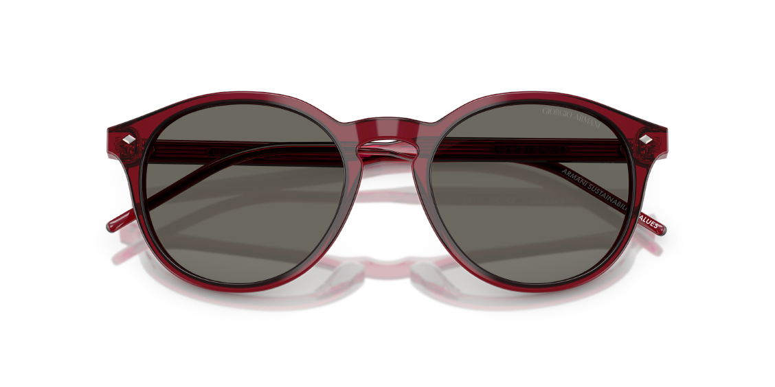 Солнцезащитные очки Giorgio Armani AR8211 6344R5