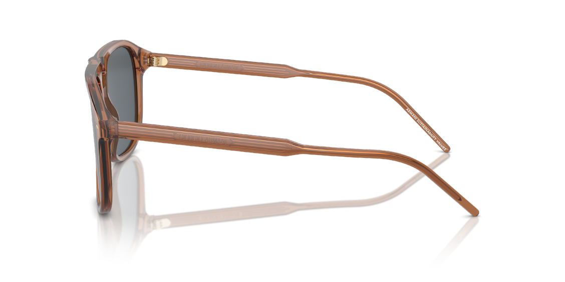 Солнцезащитные очки Giorgio Armani AR8212 5932R5