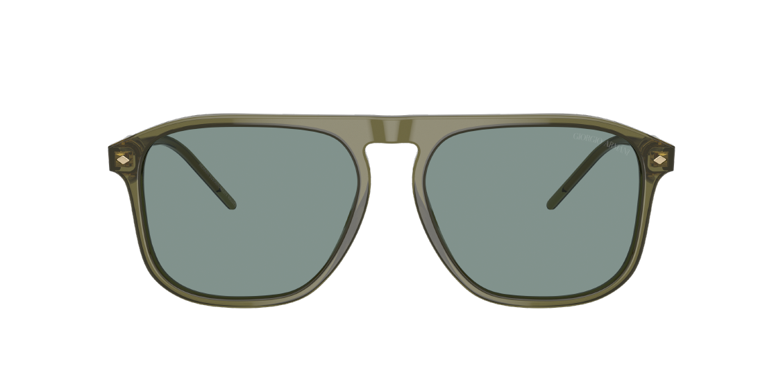 Солнцезащитные очки Giorgio Armani AR8212 607456