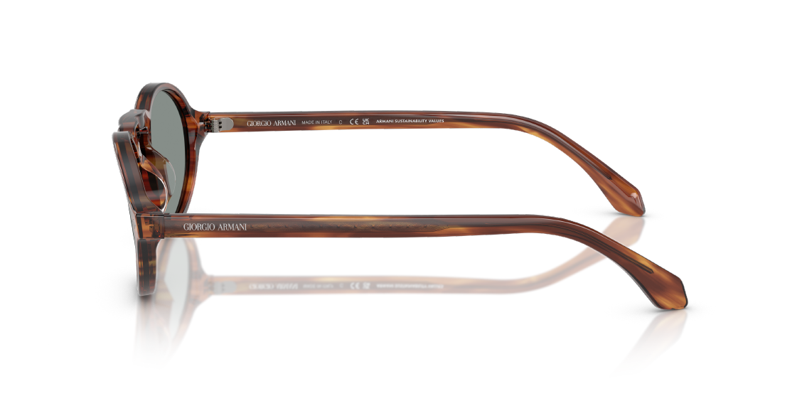 Солнцезащитные очки Giorgio Armani AR8219U 616256