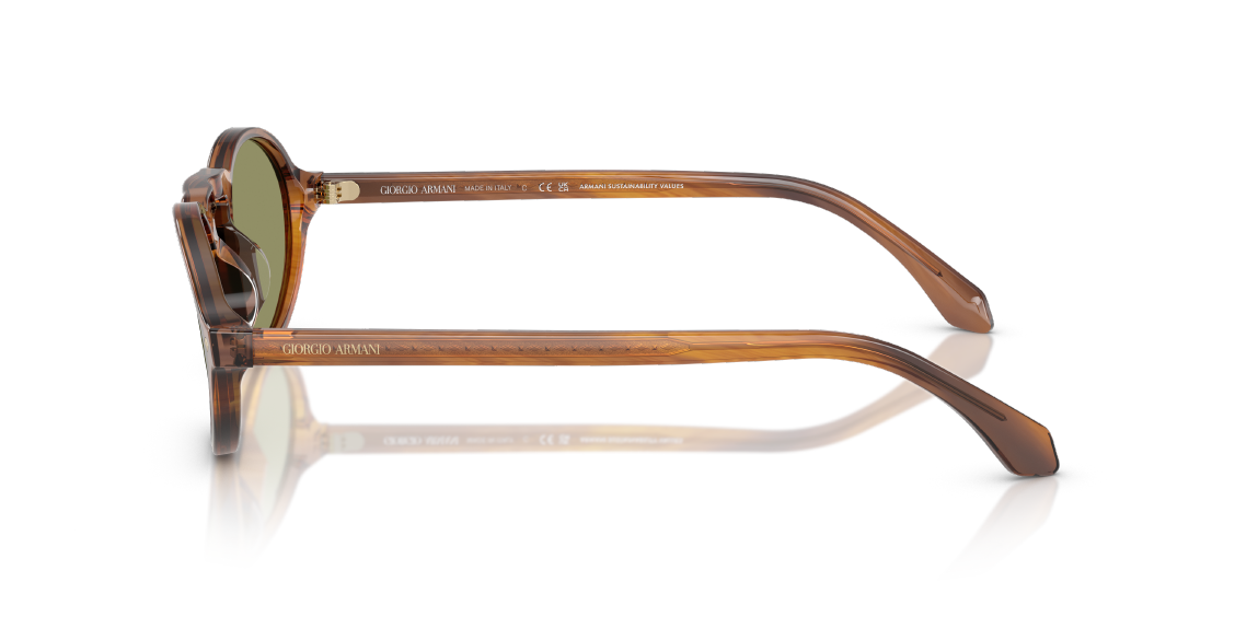 Солнцезащитные очки Giorgio Armani AR8219U 616314