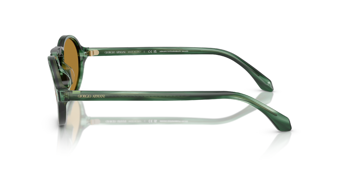 Солнцезащитные очки Giorgio Armani AR8219U 616453