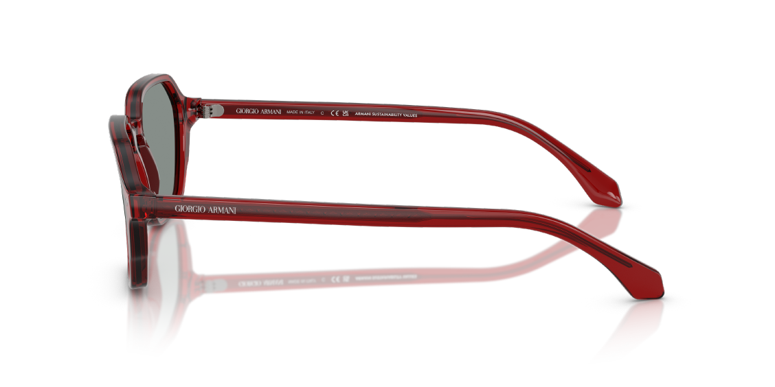 Солнцезащитные очки Giorgio Armani AR8220 617056